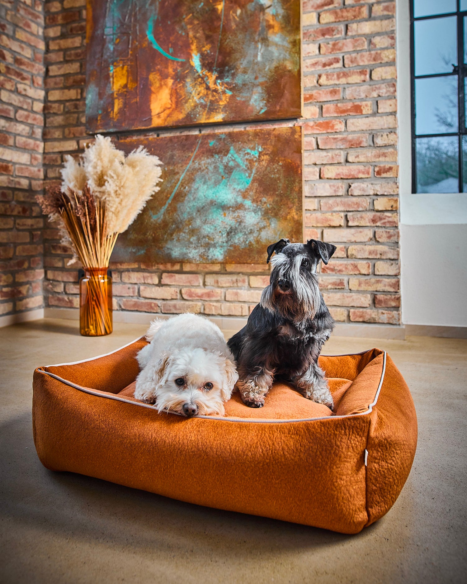 Cuccia per cani in velluto Buffalo, terracotta