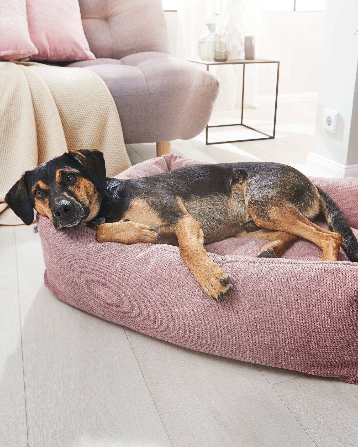 Cuccia per cani Tudor, rosa antico