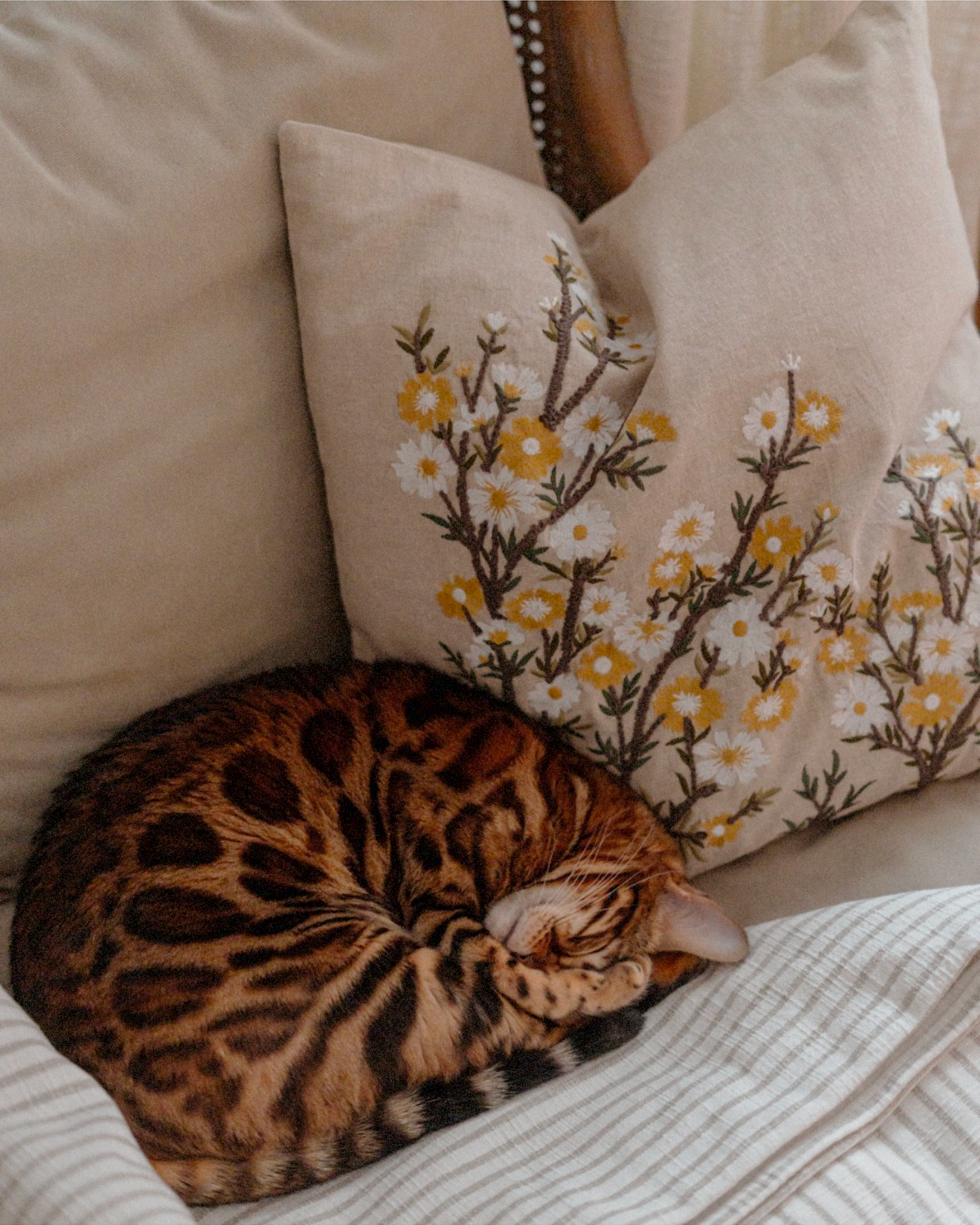 Cuscino in cotone con ricamo floreale Ruth