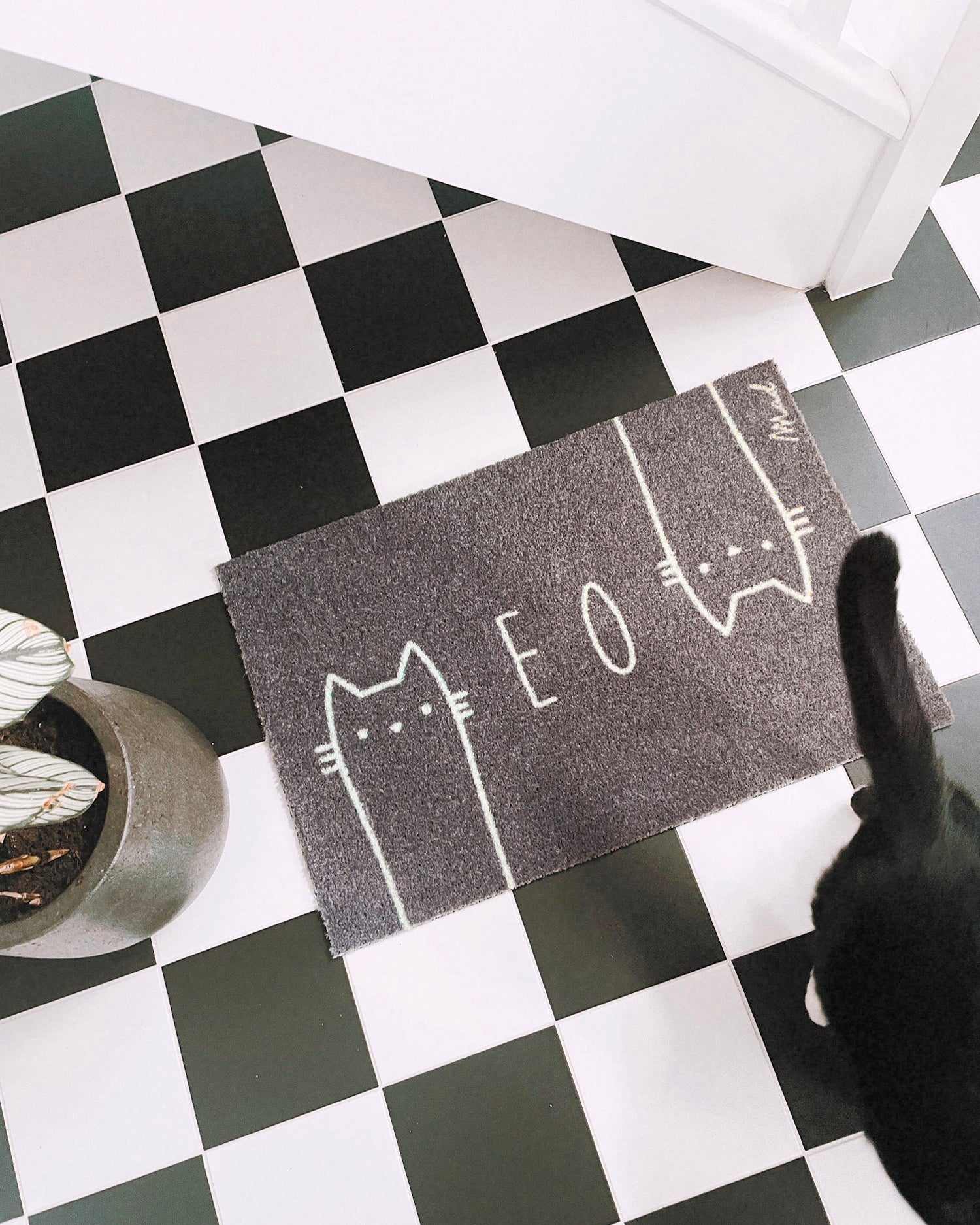 Zerbino lavabile Catty