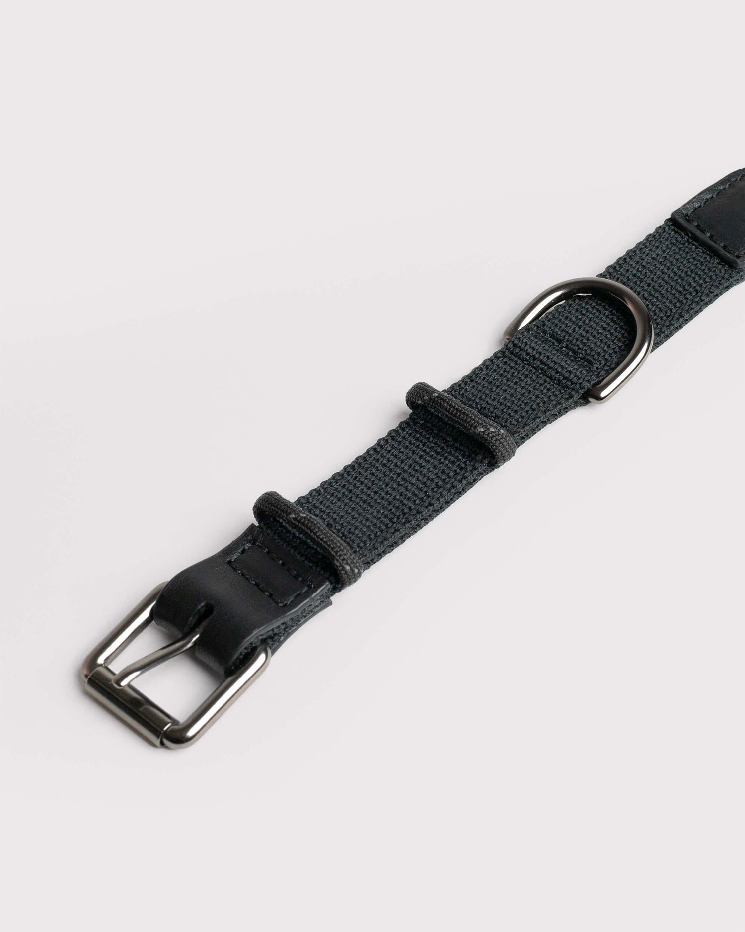 Collare per cani Colour Block