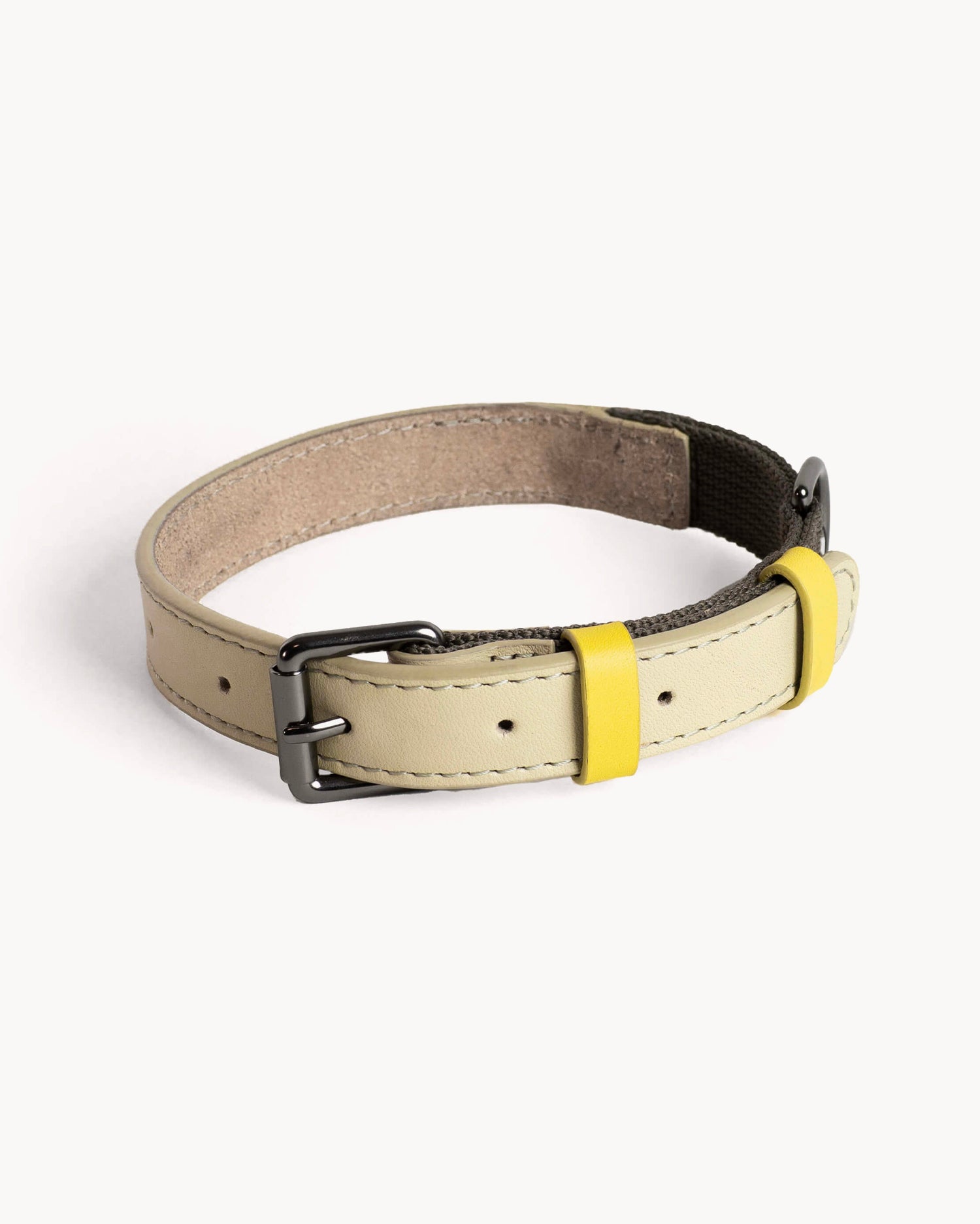 Collare per cani Colour Block