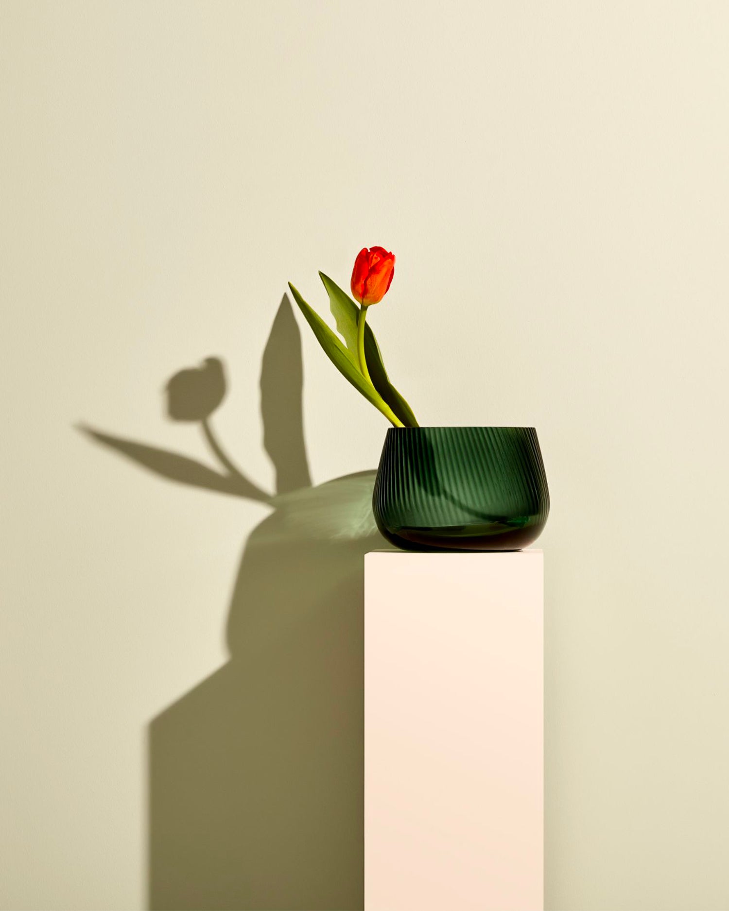 Vaso in cristallo Opti