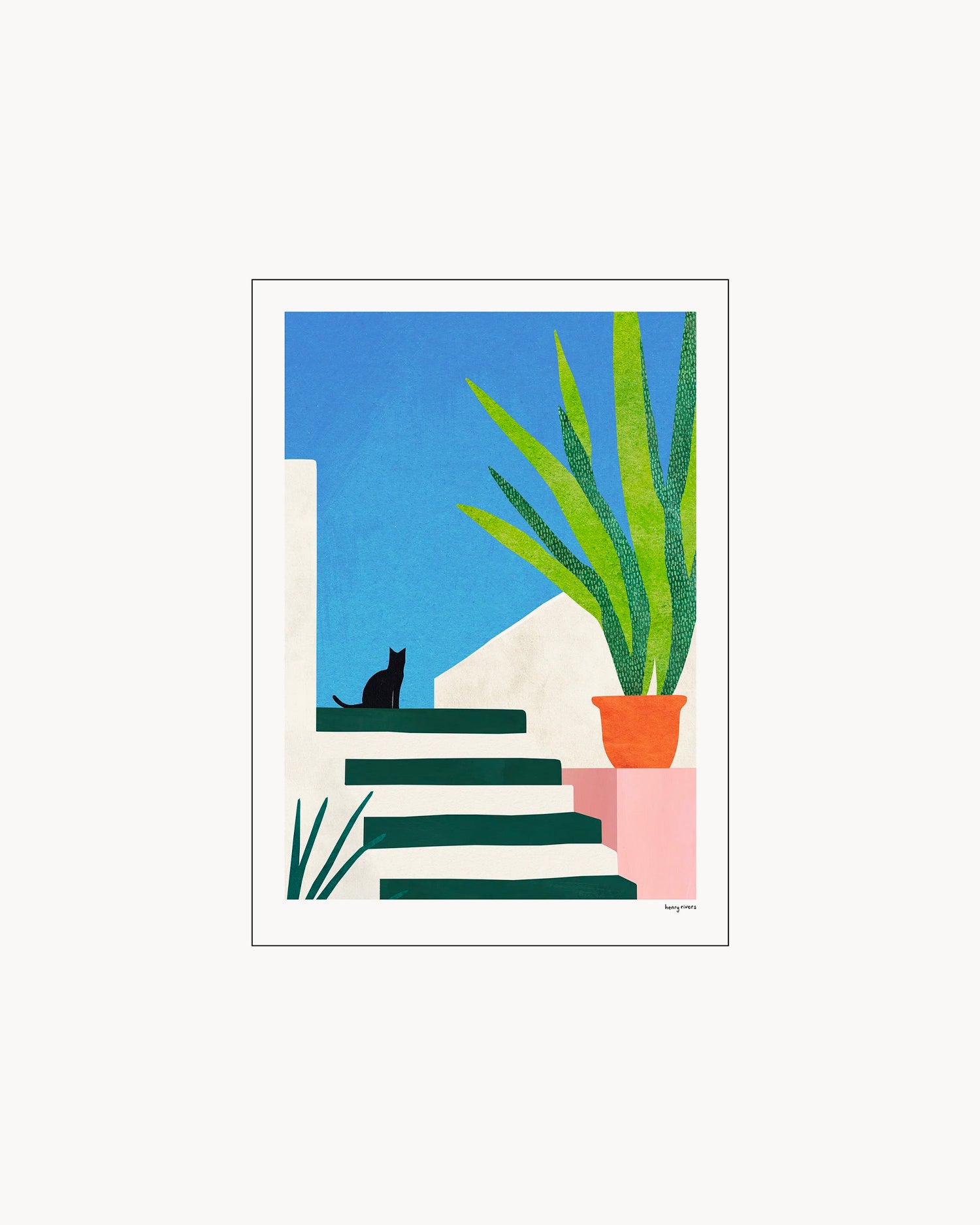 Stampa Black Cat