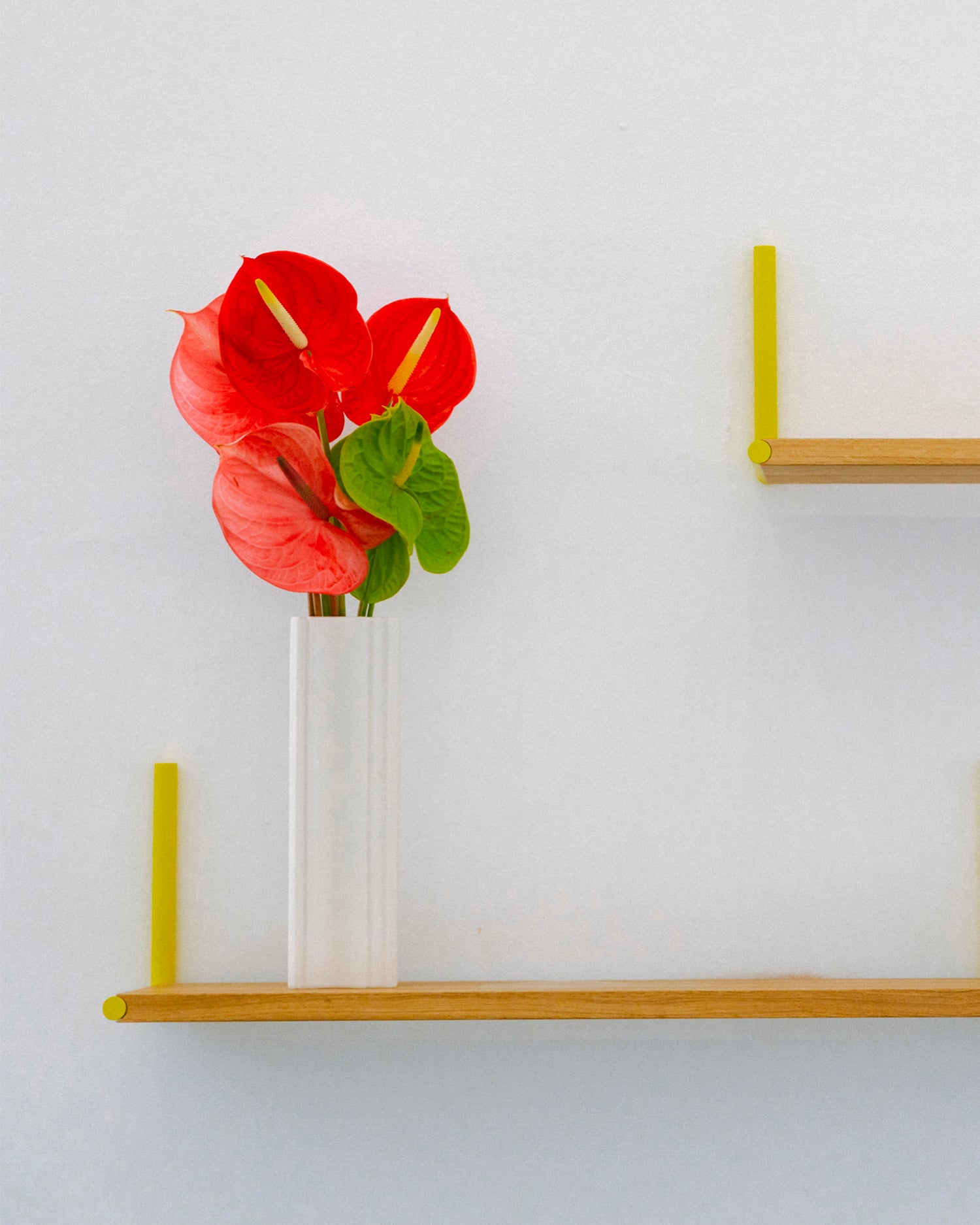 Mensola in legno di rovere Elle Regal